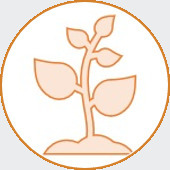 An icon containing a growing seedling